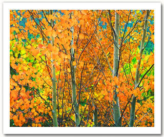 View Bruce Jackson's Portfolio
